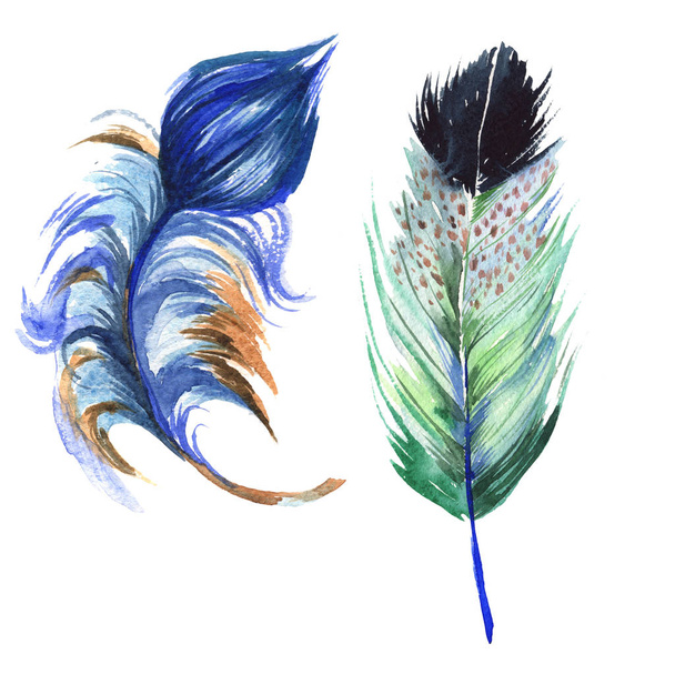Watercolor bird feather from wing isolated. - Foto, Imagen