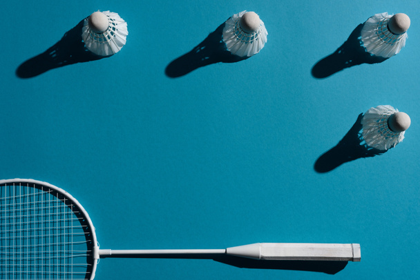 badminton racket and shuttlecocks - Fotografie, Obrázek