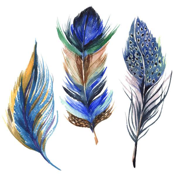 Watercolor bird feather from wing isolated. - Foto, Bild