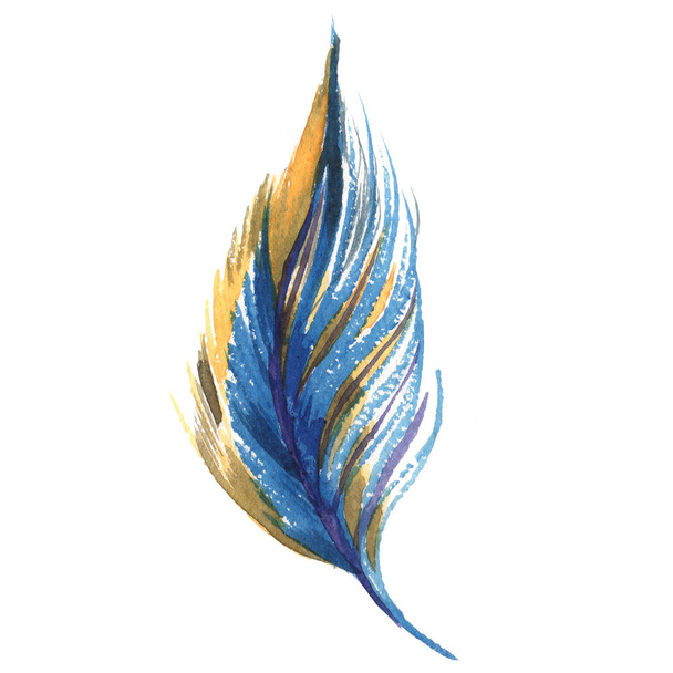 Plume d'oiseau aquarelle de l'aile isolée
. - Photo, image