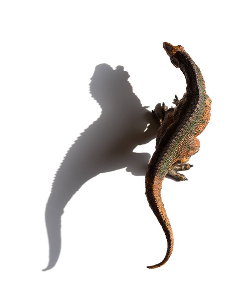 bovenaanzicht acrocanthosaurus speelgoed met schaduw op een witte achtergrond - Foto, afbeelding