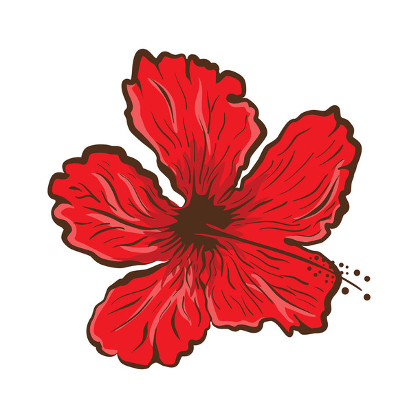 Hibiscus flower in tattoo style. Graphic tropical flower - Vettoriali, immagini