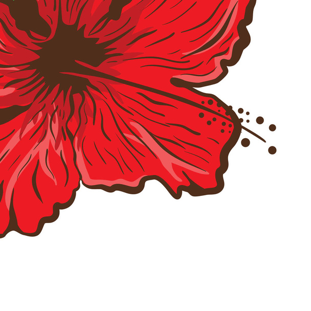 Greeting card. Hibiscus flower in tattoo style. Graphic tropical flower - Vector, Image