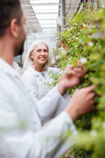 Portrait of happy woman gardener looking at her colleague near plants - 写真・画像