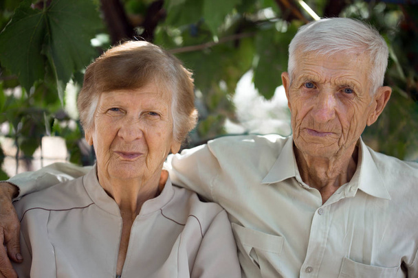 Büyükanne ve büyükbabanın portresi.  - Fotoğraf, Görsel