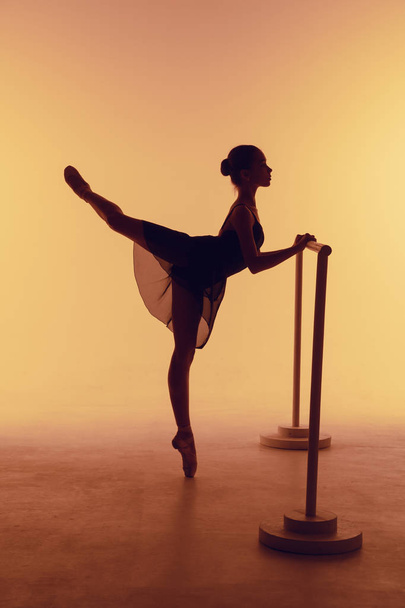 The young ballerina stretching on the bar - 写真・画像