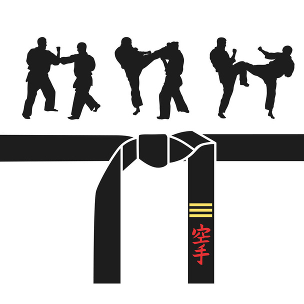Karate belt, men demonstrating karate.  - Vector, Image
