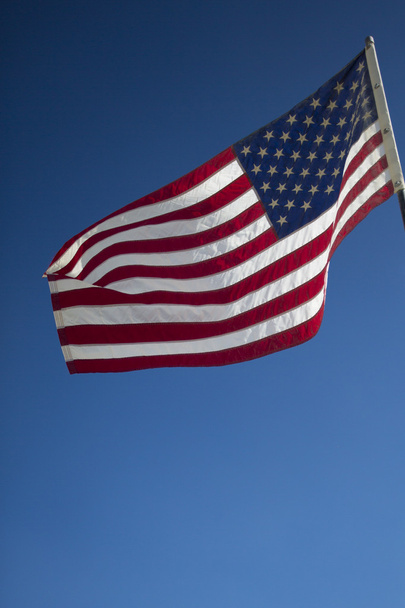 acenando bandeira americana - Foto, Imagem