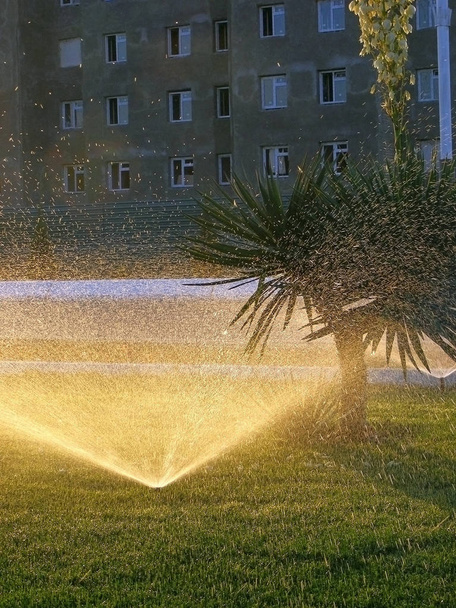 kastelu suihkulähde ray sun
 - Valokuva, kuva
