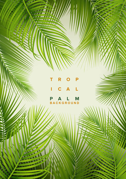 Tropische Palme Hintergrund - Vektor, Bild