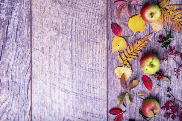 Bord d'automne vintage de feuilles et de fruits tombés sur la vieille table en bois
. - Photo, image