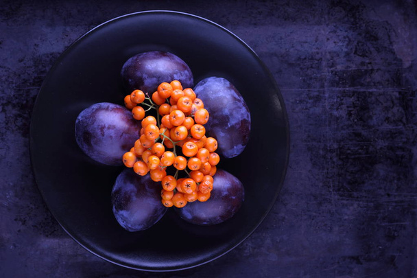 Blue plums and orange rowan berries on a black plate for designer - Фото, изображение