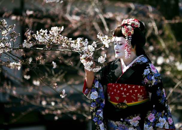 Mukava nainen Maiko kimono mekko
 - Valokuva, kuva