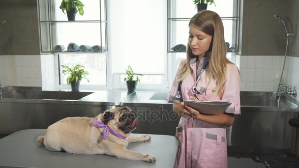 La enfermera está tomando notas después de animar al perrito
 - Imágenes, Vídeo