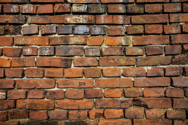 Brick wall. Color red-brown. Background.  - Фото, зображення