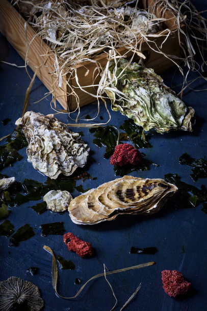 Different kinds of oysters, shellfish ina wooden box.  - Фото, изображение