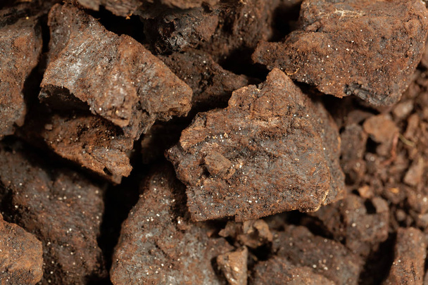 Linyit veya kahverengi kömür parçaları - Fotoğraf, Görsel