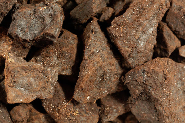 Morceaux de lignite ou de lignite
 - Photo, image