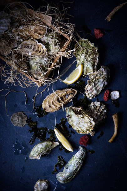 Oysters in a wooden box. Seafood produce on blue background.  - Fotó, kép