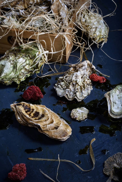 Oysters in a box, seafood market.  - Valokuva, kuva