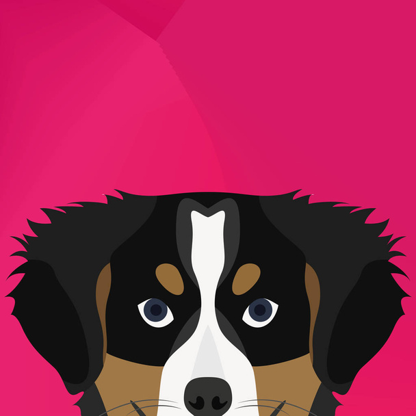 Illustration Dog Bernese Mountain Dog looking over wall - Vector, Image