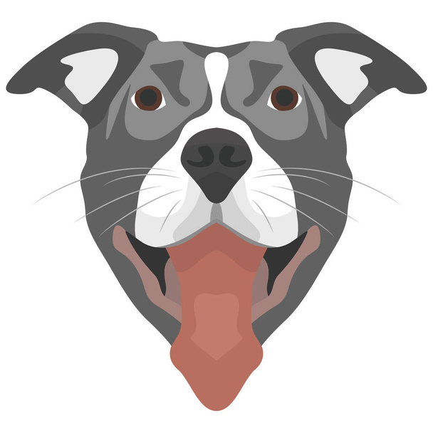 Illustratie hond Pitbull - Vector, afbeelding