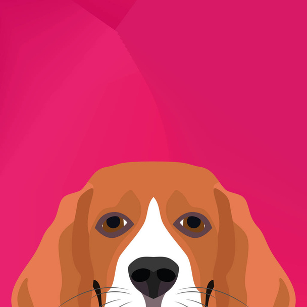 Ilustración Beagle perro mirando por encima de la pared
 - Vector, imagen