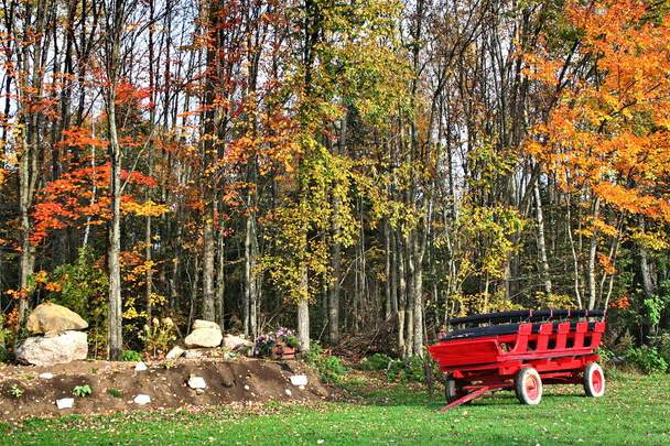 Herbst in Quebec. Kanada, nordamerika. - Foto, Bild