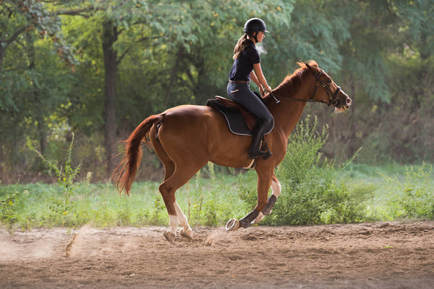 Csinos fiatal lány lovaglás a hátország, hagy maga után  - Fotó, kép