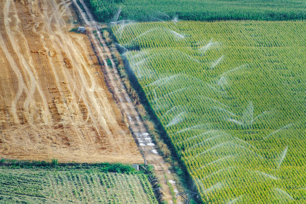 Felder mit funktionierenden Bewässerungsmaschinen - Foto, Bild
