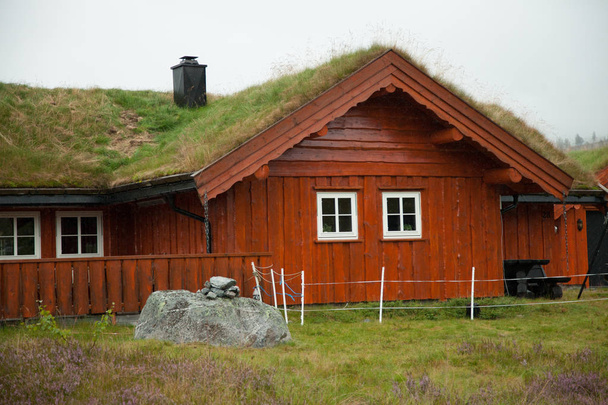 Παραδοσιακή νορβηγική ξύλινο σπίτι στέκεται σε έναν χορτοτάπητα και τα βουνά στο φόντο. Τυπικό σπίτι Νορβηγικά. τυπικό σπίτι Νορβηγικά με χόρτο στην οροφή. - Φωτογραφία, εικόνα