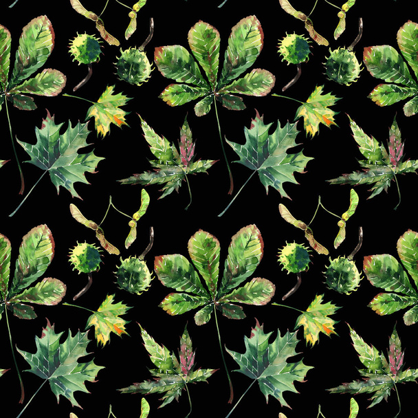 Beautiful wonderful graphic bright floral herbal autumn green maple chestnut leaves  and chestnuts pattern on black background watercolor hand sketch. Perfect for textile, wallpapers, wrapping paper - Photo, image