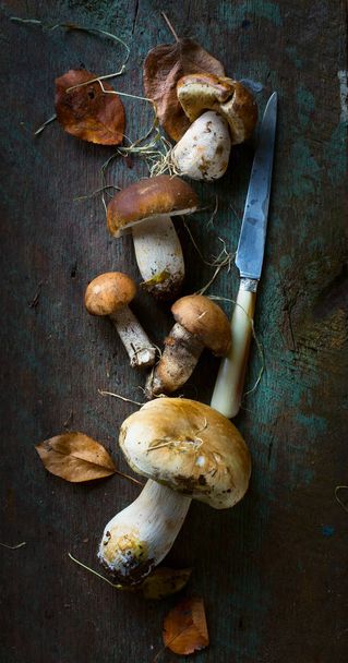 autumn cooking  background;  seasoning forest organic porcini Mu - Fotografie, Obrázek