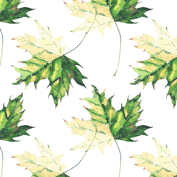 Beautiful bright graphic tender herbal floral autumn green and yellow maple leaves pattern watercolor hand illustration. Perfect for textile, wallpapers, wrapping paper, greetings card - Photo, image