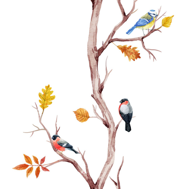 Fall trees and birds vector pattern - Vector, afbeelding
