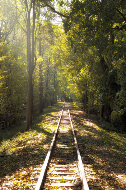 Railway in the autumn park. - Fotoğraf, Görsel