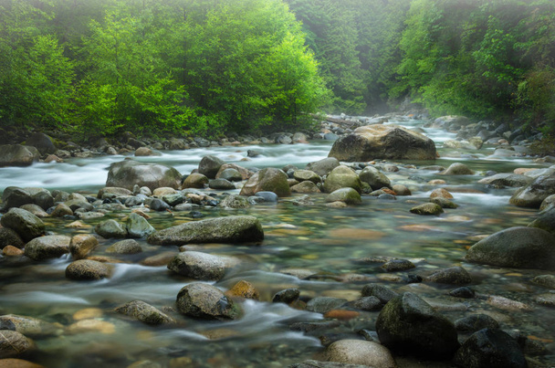 Horská řeka za deštivého dne - Fotografie, Obrázek