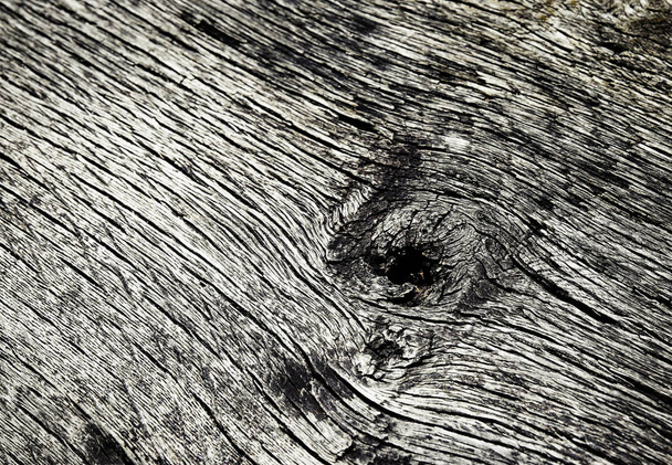 Macro detail of old weathered wood - Foto, Imagem