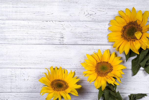 frame with sunflowers - Фото, зображення