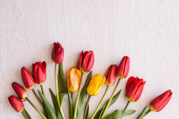 Tulips bouquet. Celebration background closeup - Foto, Imagen