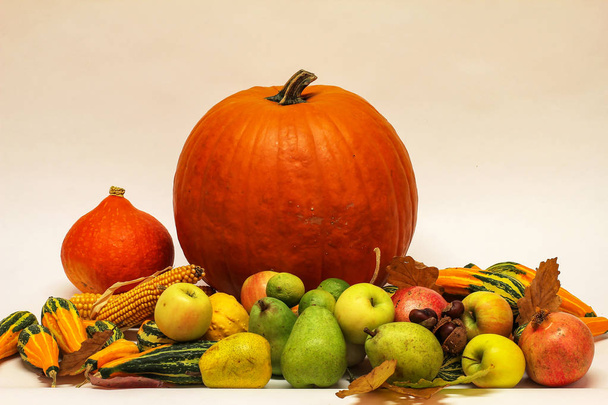 Pompoenen / herfst stilleven / verschillende vruchten op tafel - Foto, afbeelding