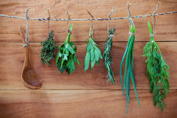 Various herbs hanging on shabby wooden background.  Parsley ,ore - Photo, Image