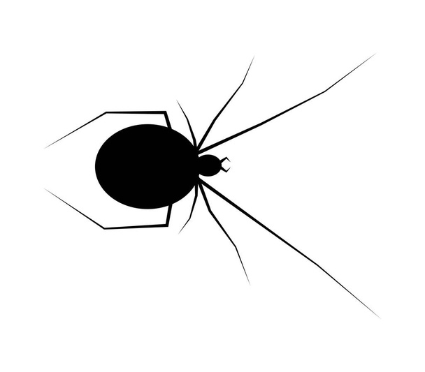 spider black widow silhouette vector symbol icon design. Beautif - Vector, Image