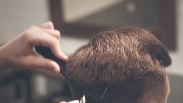Male hairdresser cutting hair. Male hair cut. Man hair care. Cutting hair - Video, Çekim