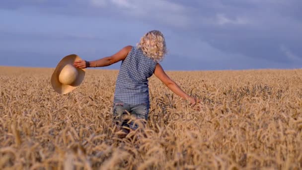 W słoneczny dzień kobieta jest chodzenie wzdłuż pola pszenicy, w ramach słomkowy kapelusz na tle przyrody koncepcja stylu życia ekologia środowiska szczęśliwych ludzi wolności, cudownie piękny widok - Materiał filmowy, wideo