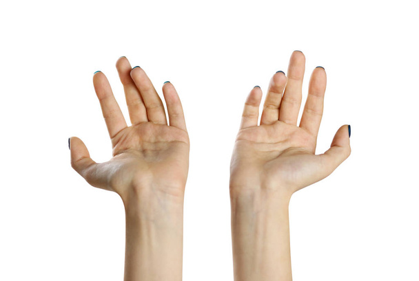 Dos manos femeninas. Aislado sobre fondo blanco. El primer plano de la palma
 - Foto, Imagen