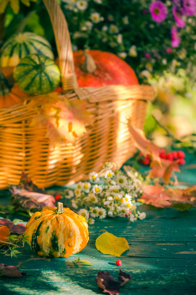 Fall basket autumn harvest garden pumpkin fruits colorful flower - 写真・画像