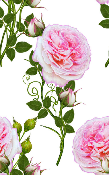 Floral seamless pattern. Flower arrangement, bouquet of delicate beautiful pink roses - 写真・画像