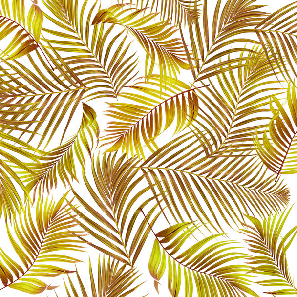 leaves of palm tree on white background - Zdjęcie, obraz