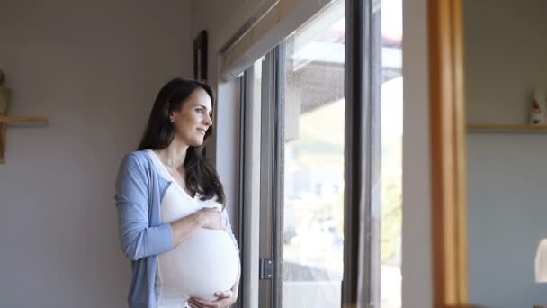 Happy pregnant woman - Filmati, video